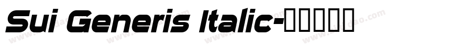 Sui Generis Italic字体转换